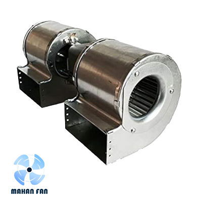 Women's al Scarf